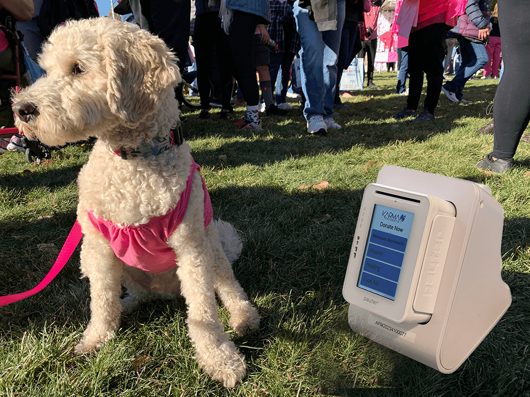 Adoption Fair